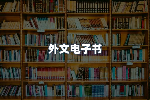 外文电子书